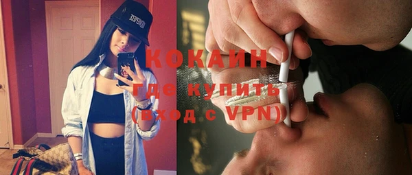 прущие грибы Переславль-Залесский
