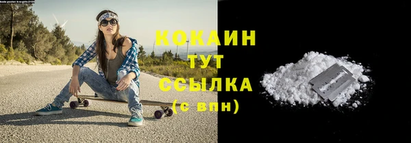 прущие грибы Переславль-Залесский