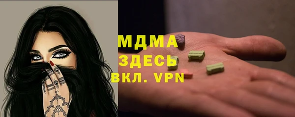 прущие грибы Переславль-Залесский