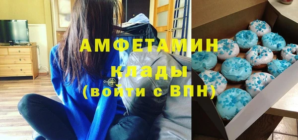 прущие грибы Переславль-Залесский