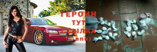 прущие грибы Переславль-Залесский