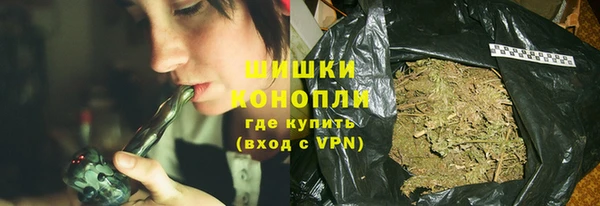прущие грибы Переславль-Залесский