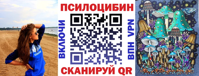 наркошоп  Астрахань  Галлюциногенные грибы Psilocybine cubensis 